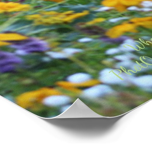 Drie tuinen ontmoeten elkaar poster (Hoek)