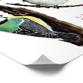 Drie tuinvogels poster (Hoek)