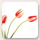 Drie Tulpen op wit Bier Onderzetter (Voorkant)
