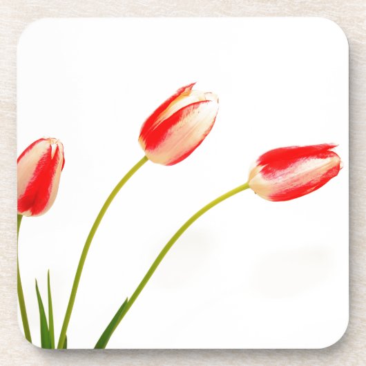 Drie Tulpen op wit Bier Onderzetter (Voorkant)