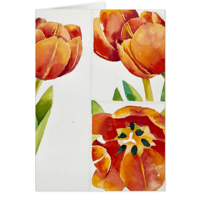 Drie tulpenstudies in een zeker jaar 2013 (Voorkant)