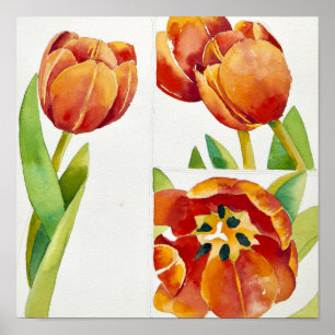 Drie tulpenstudies in een zeker jaar 2013 poster