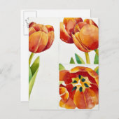 Drie tulpenstudies in een zekere 2013 briefkaart (Voorkant / Achterkant)