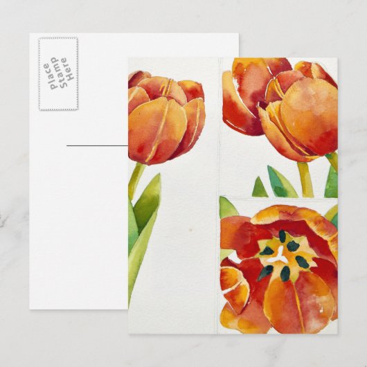 Drie tulpenstudies in een zekere 2013 briefkaart (Voorkant / Achterkant)