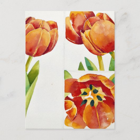 Drie tulpenstudies in een zekere 2013 briefkaart (Voorkant)