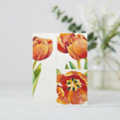 Drie tulpenstudies in een zekere 2013 briefkaart (Staand voorkant)