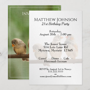 Drie tweetende vinken Fotografie van dierlijke vog Kaart