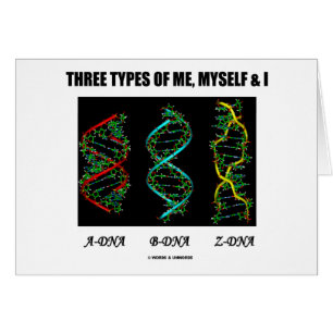 Drie types van mij, mijzelf en I (A-DNA B-DNA Z-DN