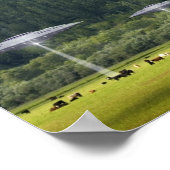 Drie UFO's met Poster op het gebied van Koe (Hoek)