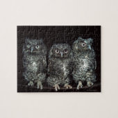 drie uilen legpuzzel (Horizontaal)