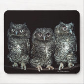 drie uilen muismat (Voorkant)