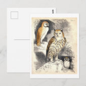 Drie uilen nacht illustratie briefkaart (Voorkant / Achterkant)