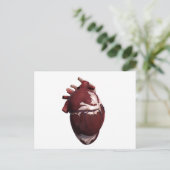 Drie Uitzicht met een dikke kant van het menselijk Briefkaart (Staand voorkant)