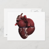 Drie Uitzicht met een dikke kop, achteraan Briefkaart (Voorkant / Achterkant)