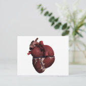 Drie Uitzicht met een dikke kop, achteraan Briefkaart (Staand voorkant)