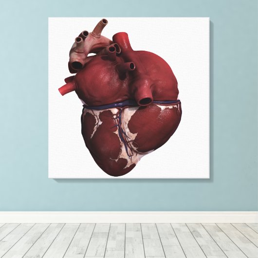 Drie Uitzicht met een dikke kop, achteraan Canvas Afdruk (Insitu (Houten vloer))