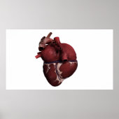 Drie Uitzicht met een dikke kop, achteraan Poster (Voorkant)