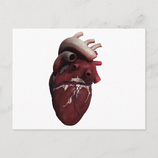 Drie Uitzicht met een dikke kop, rechts Briefkaart (Voorkant)