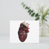 Drie Uitzicht met een dikke kop, rechts Briefkaart (Staand voorkant)