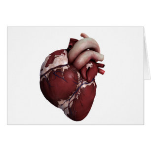 Drie Uitzichten met een dikke kop, voorzijde