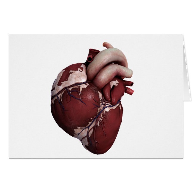 Drie Uitzichten met een dikke kop, voorzijde (Voorkant Horizontaal)