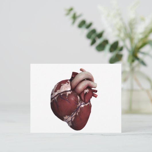 Drie Uitzichten met een dikke kop, voorzijde Briefkaart (Staand voorkant)