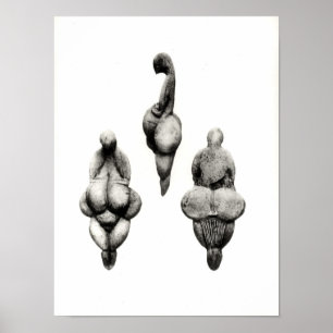 Drie uitzichten van een beeldje "Venus" Poster