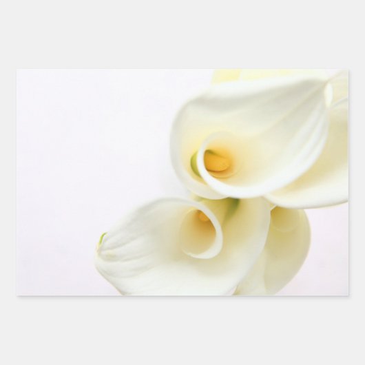 Drie uitzichten witte calla lilies inpakpapier vel (Voorkant 3)