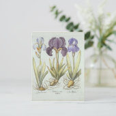 Drie variëteiten van Rhizomateuze eindeloze irriga Briefkaart (Staand voorkant)