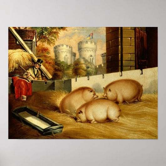 Drie Varkens met Castle op de achtergrond Poster (Voorkant)