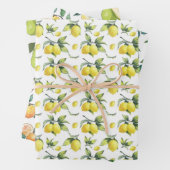 Drie vellen pakpapier - Sinaasappels peren (In situ)