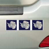 DRIE Verbonden Antarctica-Stickers Bumpersticker (Op auto)