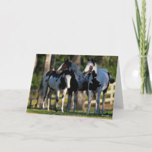 Drie verfpaarden die samen staan kaart