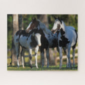 Drie verfpaarden die samen staan legpuzzel (Horizontaal)