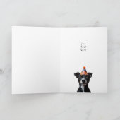 Drie verjaardagshonden (Binnen)