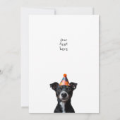 Drie verjaardagshonden kaart (Achterkant)