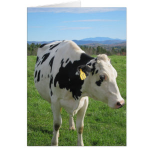 Drie verouderde kabeljauw 5x7