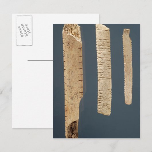 Drie versierde botten briefkaart (Voorkant / Achterkant)