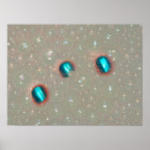 Drie vingers in het schuim poster (Voorkant)