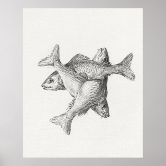 Drie vissen poster (Voorkant)