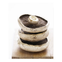 Drie vlakke paddenstoelen in heipalen op houten pl