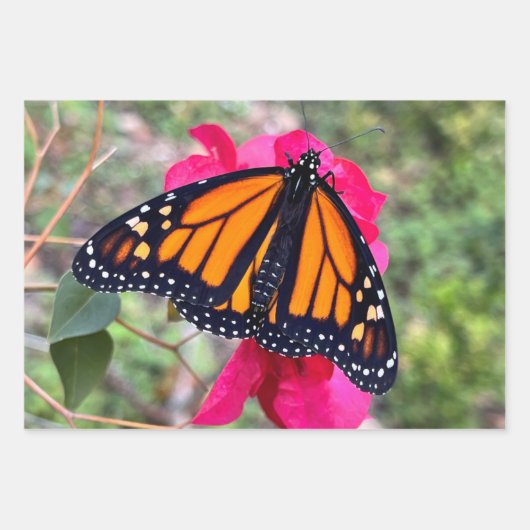 Drie vlinders op  bloemen inpakpapier vel (Voorkant 3)