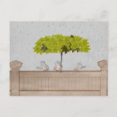 Drie vogels in de regen briefkaart (Voorkant)