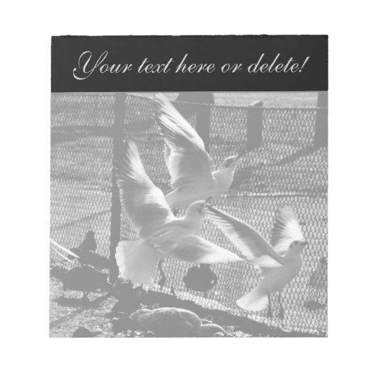 Drie vogels notitieblok (Voorkant)