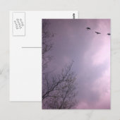 Drie vogels vliegen zo hoog briefkaart (Voorkant / Achterkant)