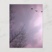 Drie vogels vliegen zo hoog briefkaart (Voorkant)