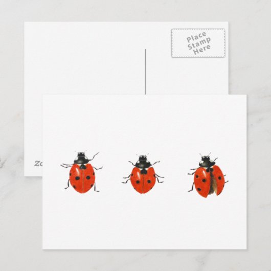 Drie vogelsoorten 2013 briefkaart (Voorkant / Achterkant)