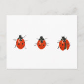 Drie vogelsoorten 2013 briefkaart (Voorkant)