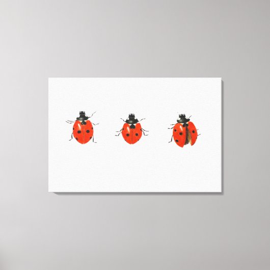 Drie vogelsoorten 2013 canvas afdruk (Voorkant)