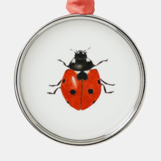 Drie vogelsoorten 2013 metalen ornament (Voorkant)
